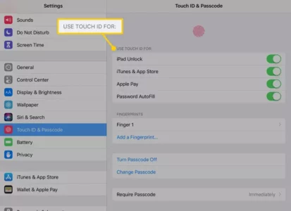 Options With Touch ID