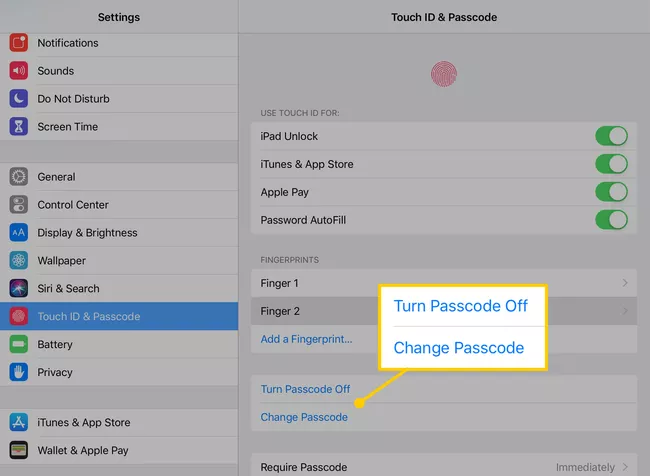 iPad Passcode 3