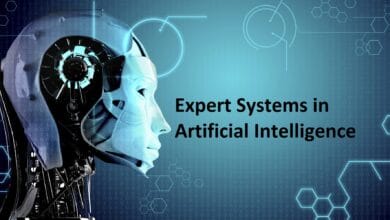 النظام الخبير